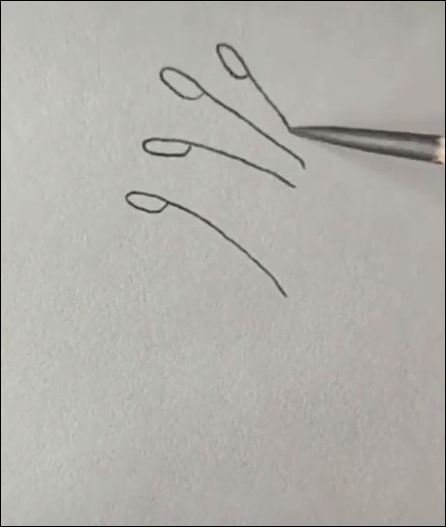 Как легко и быстро нарисовать руку