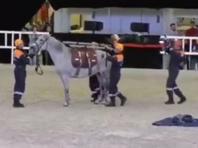 Сотрудники МЧС показали, как правильно перевозить пострадавшего на лошади