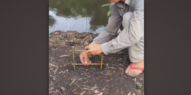 Оригинальный способ рыбалки без удочки