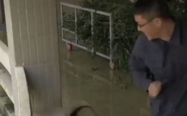 Китайский мужчина спасается от агрессивного медведя, который его преследует