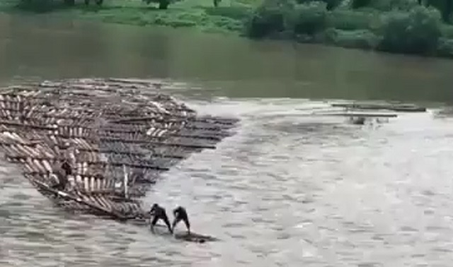 Как сплавляют древесину по реке в Китае
