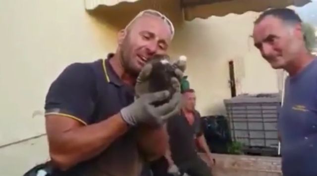 Итальянский пожарный эмоционально отреагировал на спасение котенка