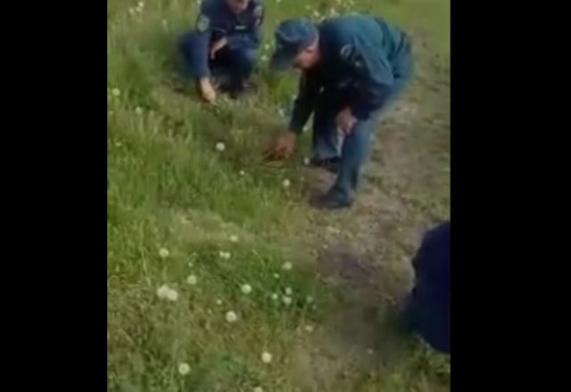 Пожарные из Новосибирска вынуждены стричь траву ножницами