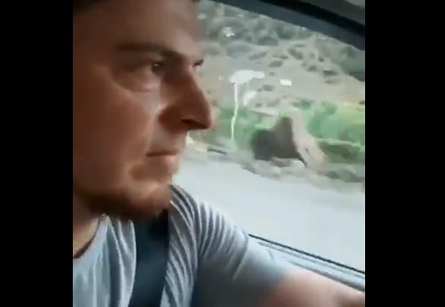 Неприятный сюрприз на горной дороге в Дагестане