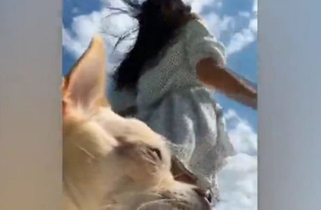 Девушка хотела снять эффектное видео для соцсетей, но собака все испортила