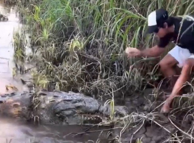 Аттракцион с кормлением крокодила чуть не закончился трагедией