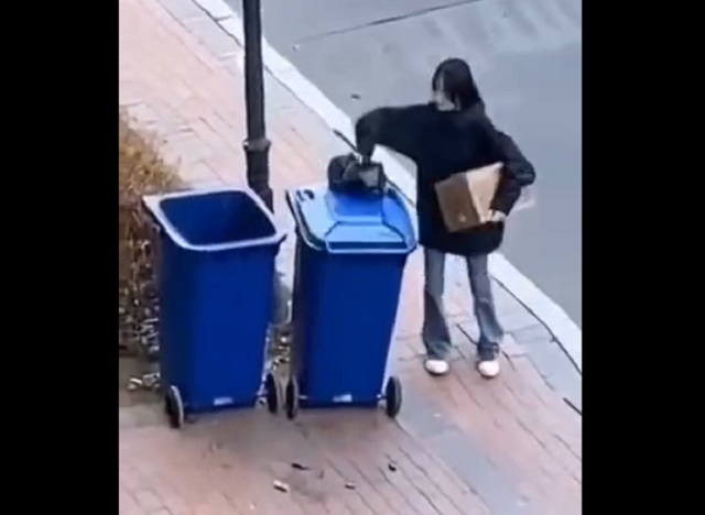 Как выбросить пакет с мусором в бак, если занята одна рука