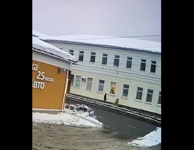 Неожиданный сход снега с крыши здания в Рыбинске