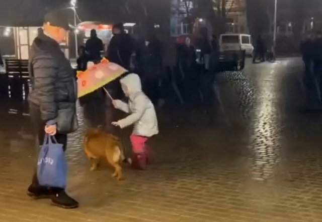Добрая девочка закрывает собаку от дождя