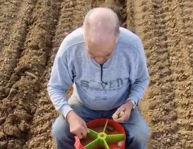 Довольно удобный способ посадки картофеля