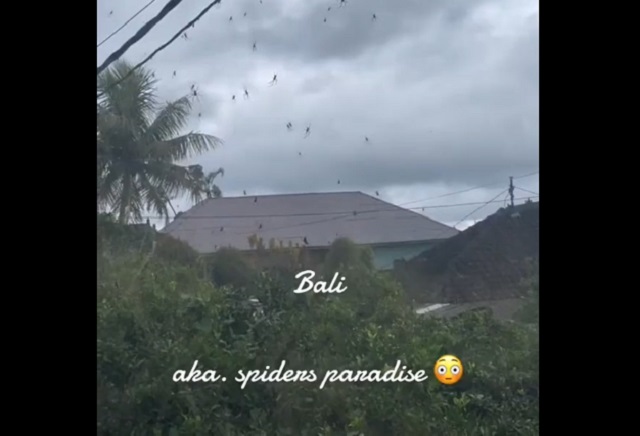 Не такое уж и сказочное Бали