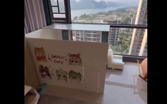 Кот со своей отдельной мини-квартирой