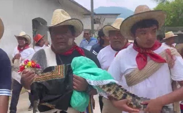 Мэр мексиканского городка женился на крокодиле, надеясь прилечь дождь