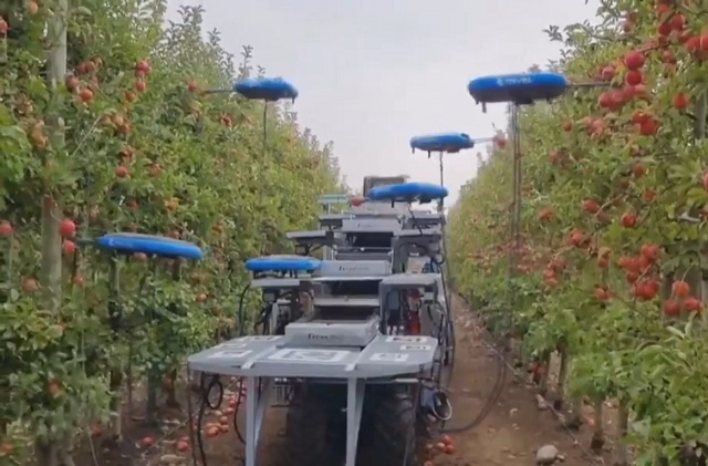 Автоматизированный сбор яблок в Израиле