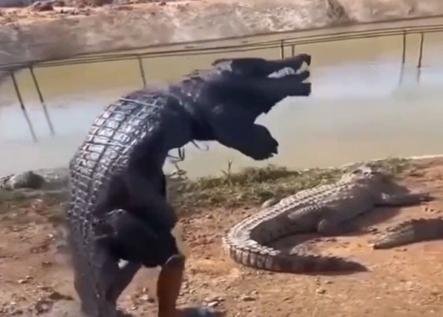 Рисковый парень притворяется крокодилом