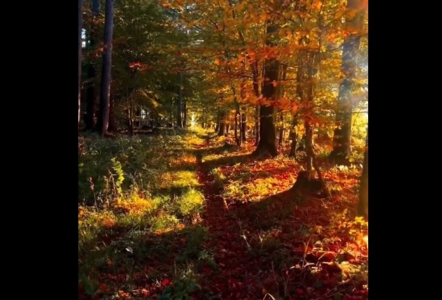 Переворачиваем календарь и любуемся красотами осени