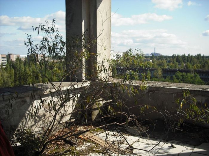 Чернобыль (59 фото)