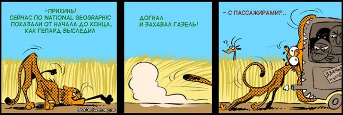 Подборка прикольных комиксов (114 фото)