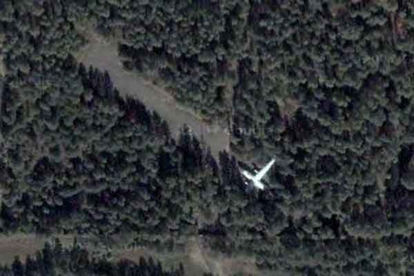 Самолет посреди леса (13 фото)