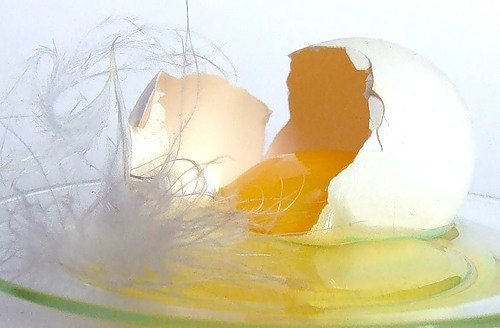 Яичный креатив (20 фото)