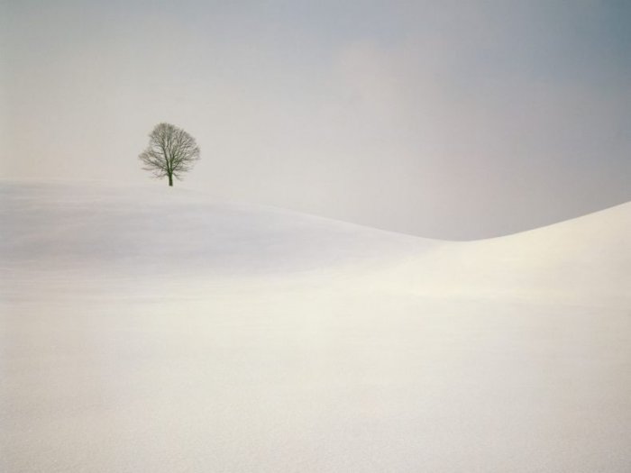 Снежная зима (40 фото)