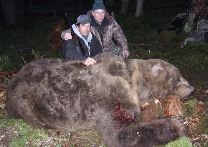 Застрелили медведа (5 фото)