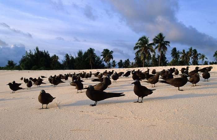 Сейшельские острова. Красотища! (15 фото)