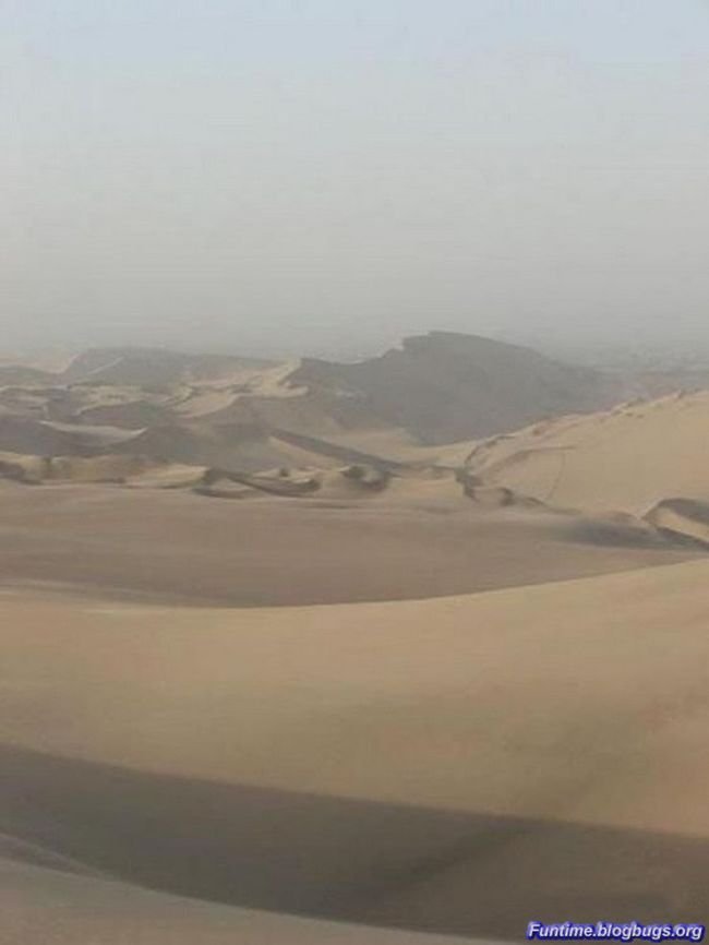 Оазис в пустыне (17 фото)