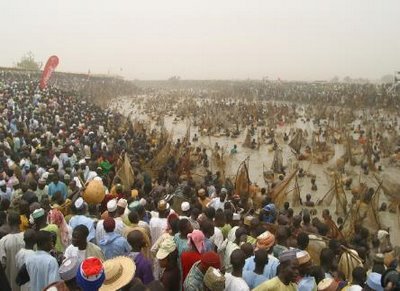 ак ловят рыбку в Нигерии (11 фото)