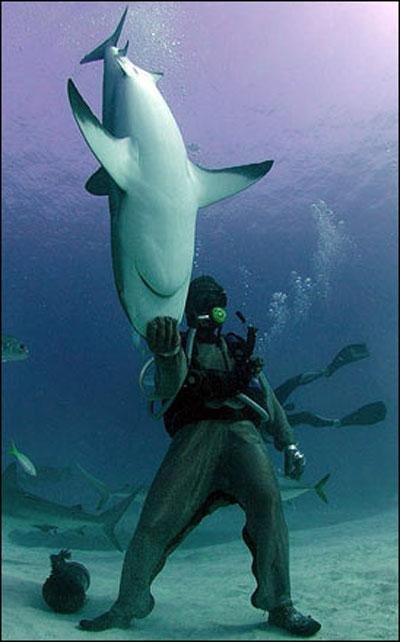 Человек-акула (8 фото)