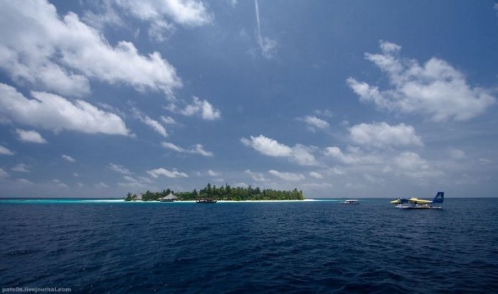 Дайвинг на Мальдивах! (36 фото)