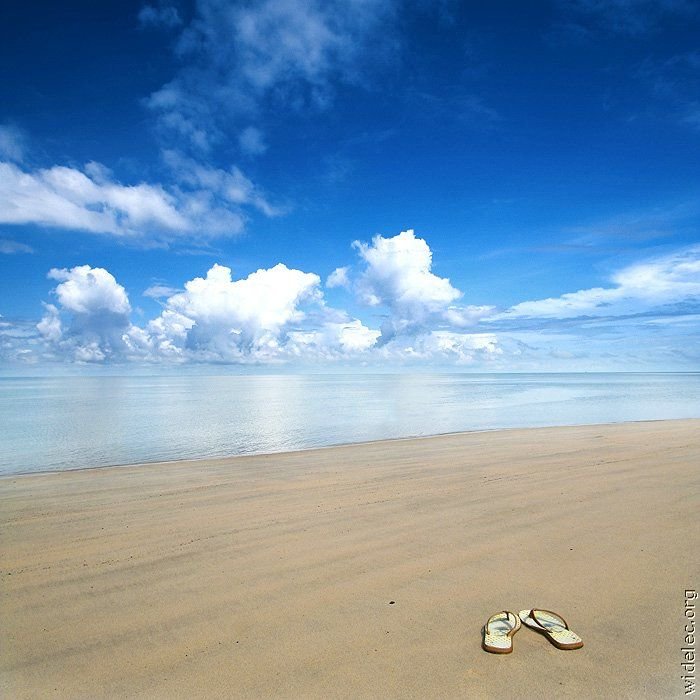 Лето, море, пляж... (23 фото)
