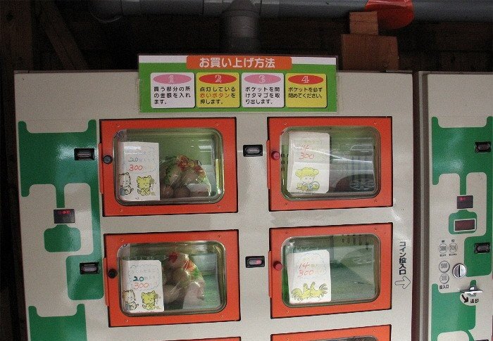 Что продают в китайских автоматах (9 фото)