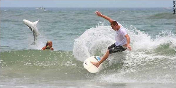 Опасный серфинг (3 фото)