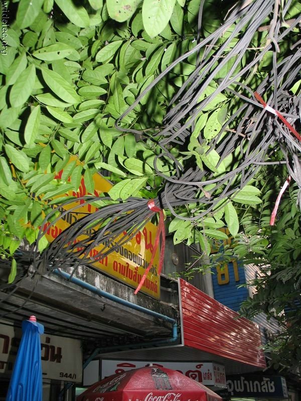 Мастерство прокладки кабеля в Китае (25 фото)