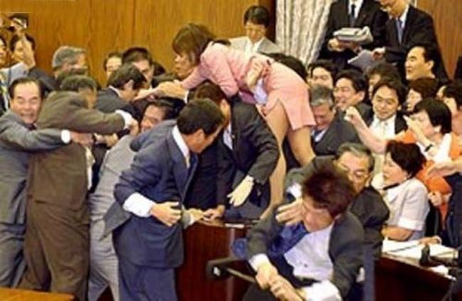 Как принимают законы в Японии (3 фото)