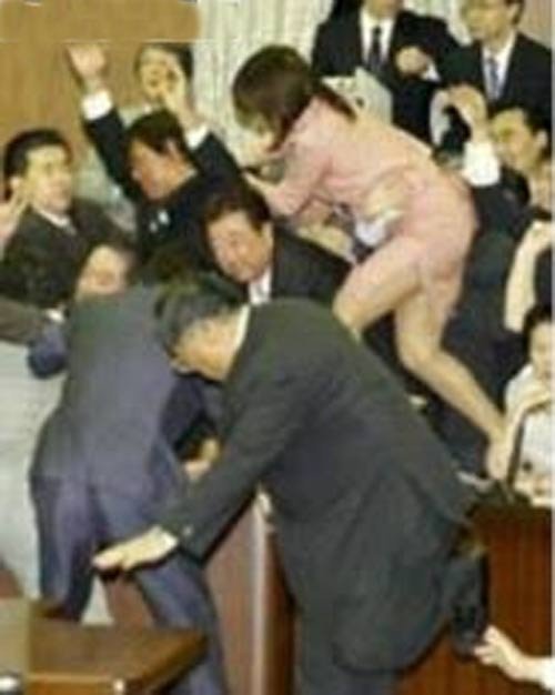 Как принимают законы в Японии (3 фото)