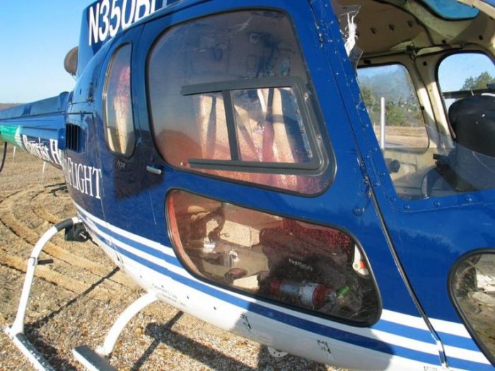 Вертолет против стаи птиц (25 фото)