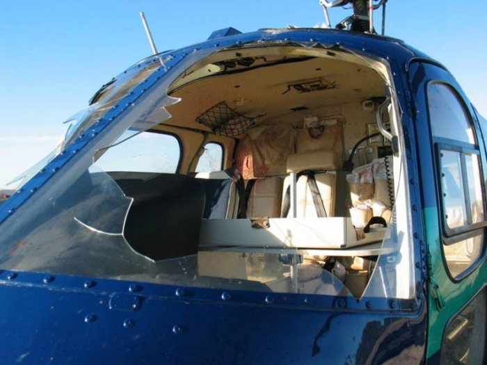 Вертолет против стаи птиц (25 фото)