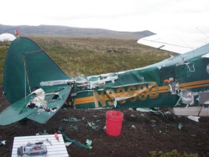 Нападение медведя на самолет (6 фото)