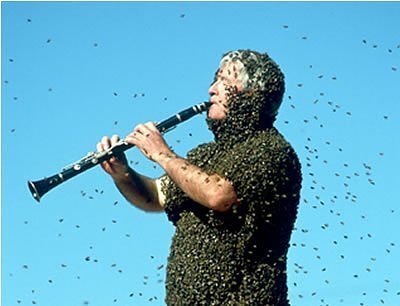 Люди и пчелы (23 фото)