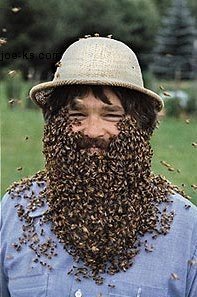 Люди и пчелы (23 фото)