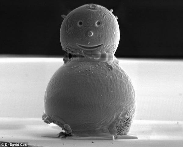 Микроскопический снеговик (2 фото)