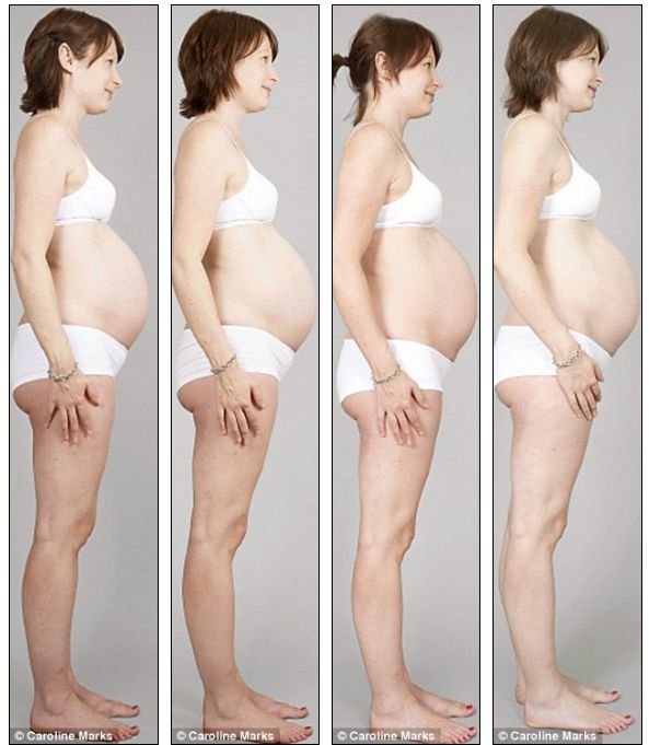 Какой живот у беременных на 4 месяце фото