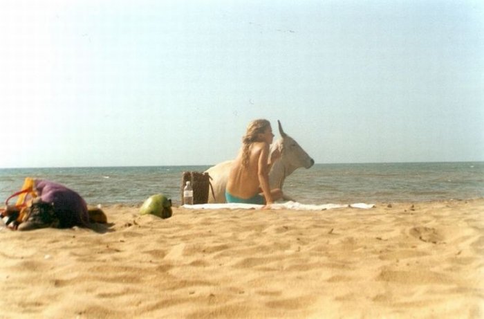 Пляжи Гоа (34 фото)