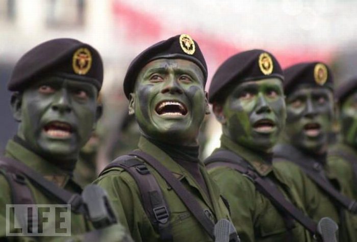 Необычные военные парады (24 фото)