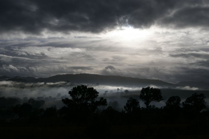 Утренний туман (14 фото)