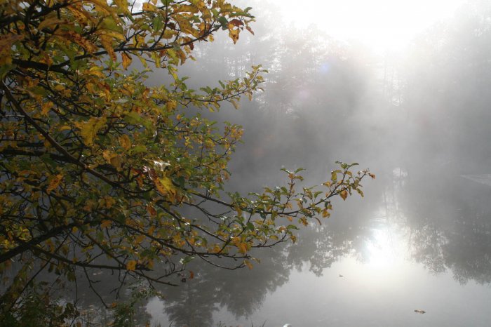Утренний туман (14 фото)