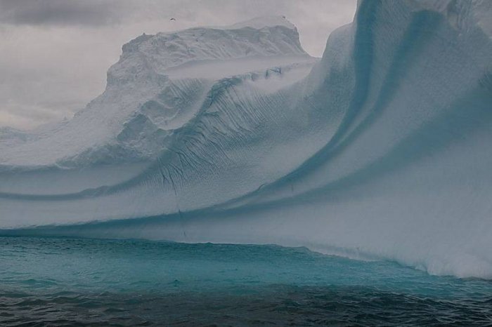 Антарктида (29 фото)