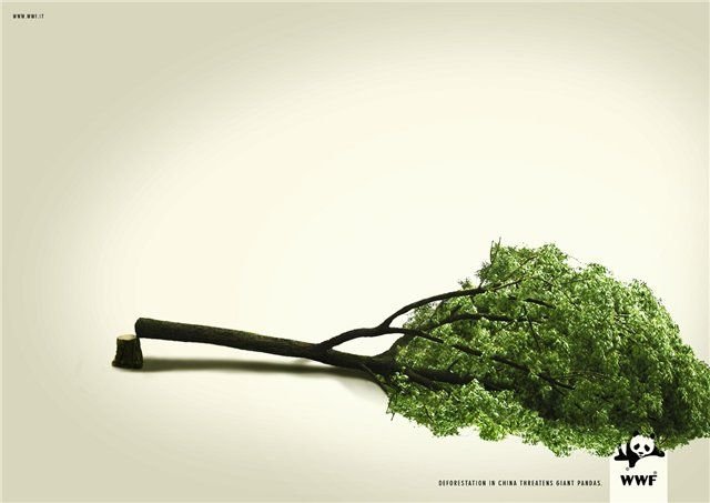 Подборка рекламных постеров WWF (42 фото)
